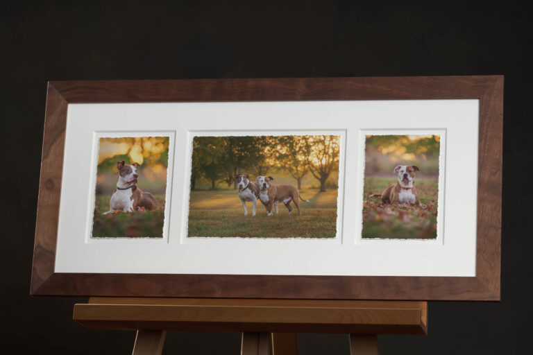 2 V 5x7s H 7x10 in 12x28 Mat Deckled Edge No Border 1.522 Oil Wax Walnut Frame 768x512