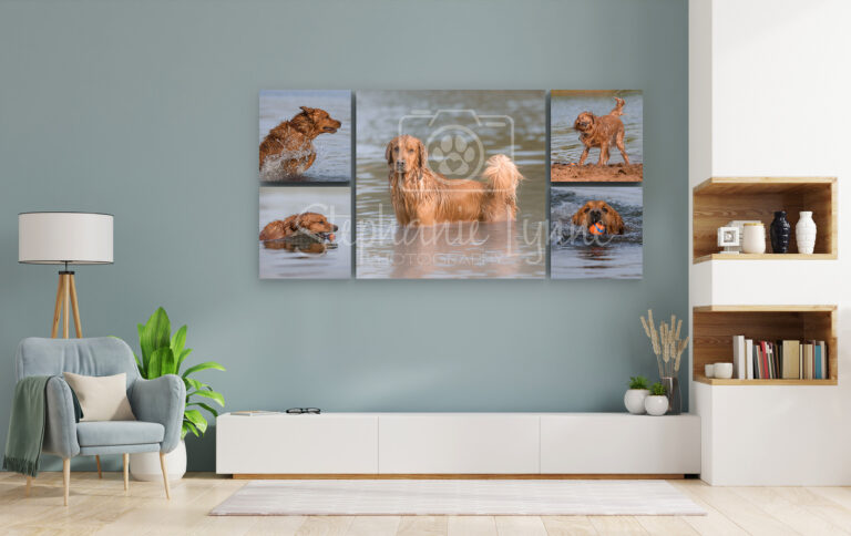 Collection 02 2 768x484