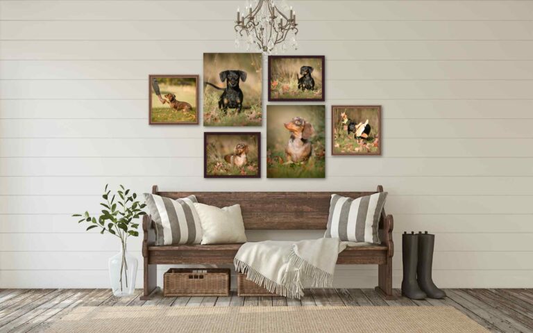 gallery snapshot copy 2 768x479